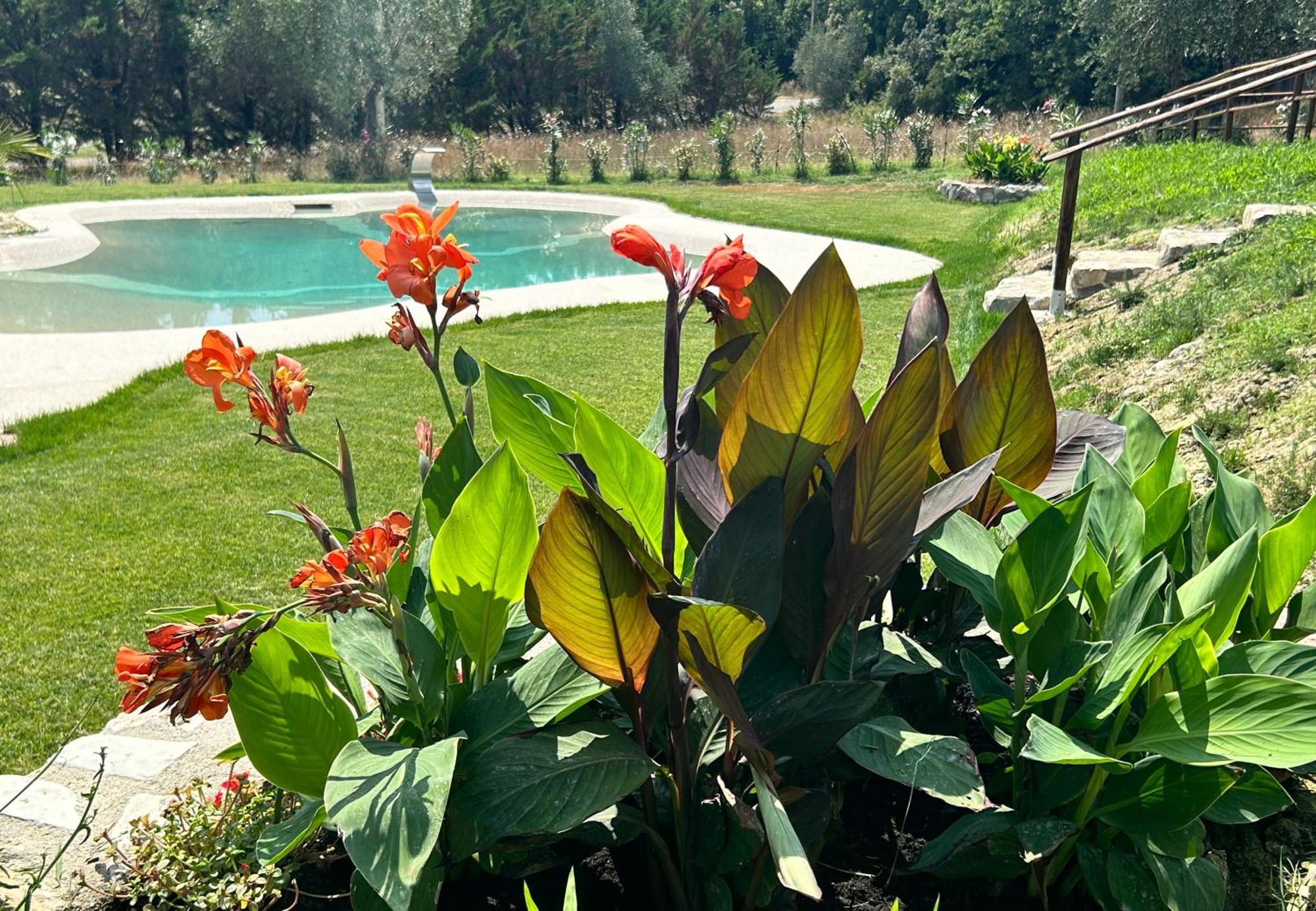Agriturismo San Ansanino- Piscina Con Spiaggia-Aria Condizionata Pari Εξωτερικό φωτογραφία