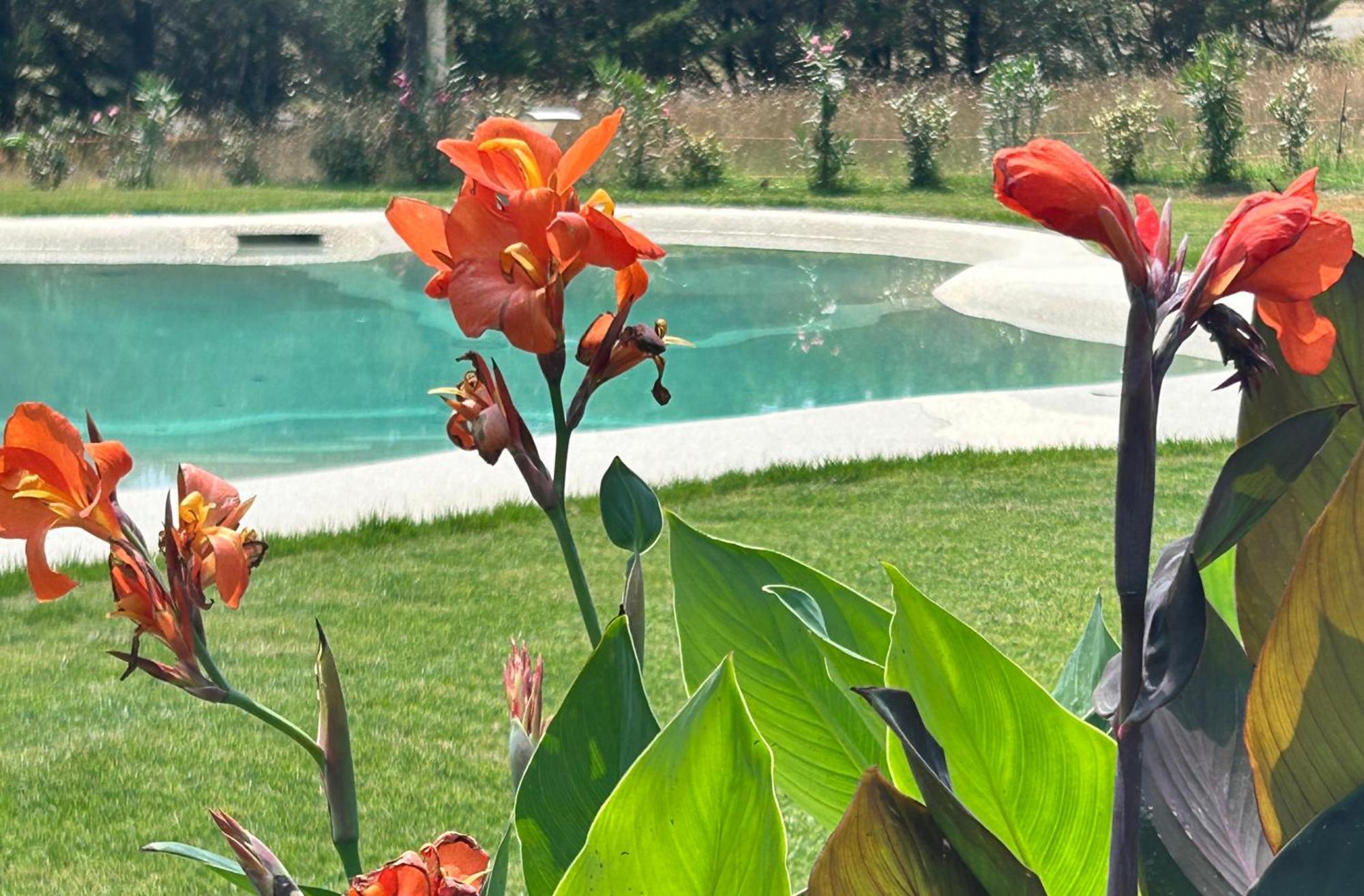 Agriturismo San Ansanino- Piscina Con Spiaggia-Aria Condizionata Pari Εξωτερικό φωτογραφία